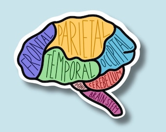 Brain sticker, SLP, speech pathology, Neuro anatomy