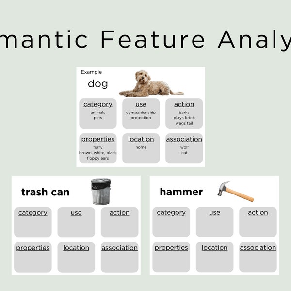 セマンティック機能分析テンプレート SLP ダウンロード可能なリソース、SFA、医療 SLP 治療