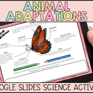 Animal Adaptations Google Activity
