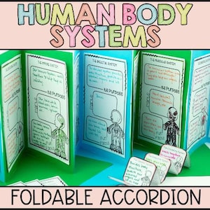 May include: A colorful foldable accordion-style educational chart titled "HUMAN BODY SYSTEMS." The chart is divided into sections with handwritten notes and illustrations of the immune, skeletal, and muscular systems. The text "FOLDABLE ACCORDION" is at the bottom.