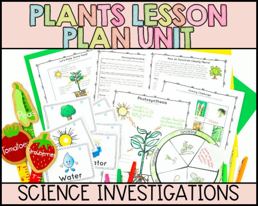 Parts of a Plant, Plant Life Cycle, Plant Needs, Photosynthesis, and ...