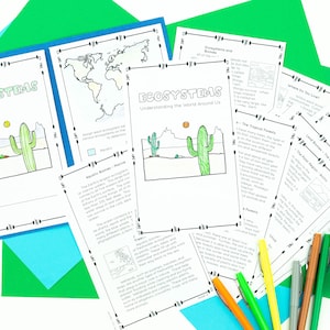 Ecosystems & Biomes Foldable Accordion Activity - Etsy