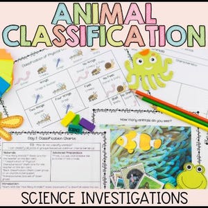 Tierklassifikation Einheit Wirbellose Arbeitsblatt Unterrichtsplan
