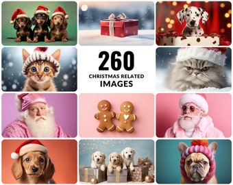 260+ Premium Winter & Christmas Photographs