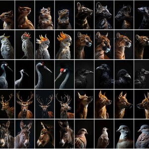 600 Majestic Animal Portraits - High-Resolution Images with Commercial License image 7