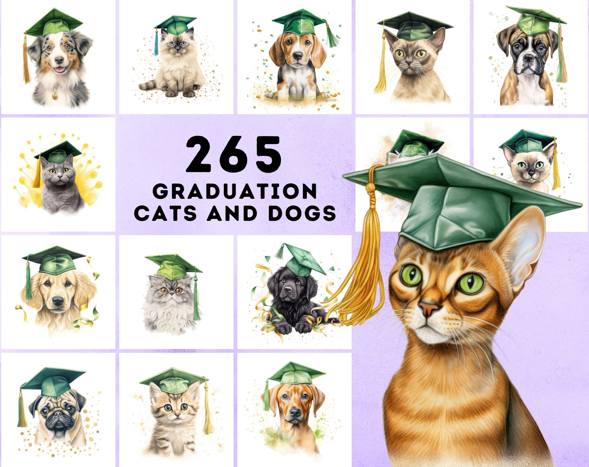 Watercolour Graduation Dogs and Cats Illustrations