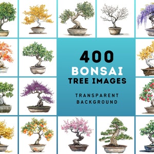 400 Exquisite Bonsai Images for Your Designs
