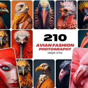 Bunte hochauflösende Avian Fashion Fotografie PNGs - kommerziell lizenziert