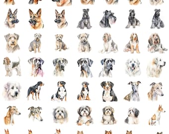 All 340 hotsell dog breeds