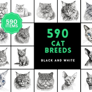 Black & White Sketch Cat Breed PNG Illustrations with Commercial Use License Included