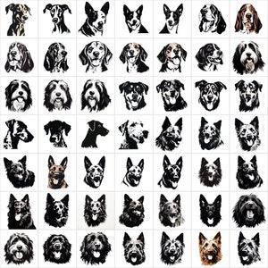 K&ouml;nnte beinhalten: Eine Sammlung von 49 Schwarzwei&szlig;-Silhouetten-Illustrationen von Hunderassen. Die Illustrationen sind in einem Raster angeordnet. Jede Illustration zeigt eine andere Hunderasse, darunter Beagle, Border Collie, Bulldogge, Dackel, Deutscher Sch&auml;ferhund, Golden Retriever, Labrador Retriever, Pudel, Rottweiler und Shih Tzu.