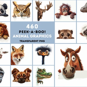 Peek-A-Boo Animals! 460 Przezroczystych Grafik PNG i JPG