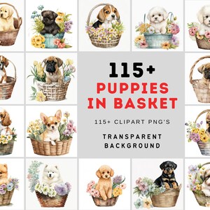 Verlieben Sie sich in diese Aquarell transparenten 115 Baby-Welpen in Korb Clipart, perfekt für die Erstellung wunderlicher Designs - kommerzielle Nutzung