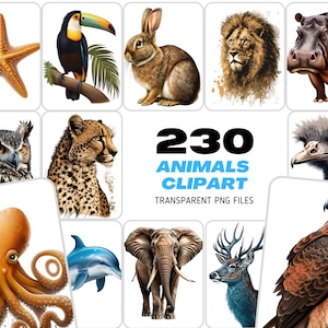 Erwecken Sie Ihre Designs zum Leben mit unserem transparenten Tier-Set mit 230 Wildtier-Grafiken, einschließlich Dschungel-Kreaturtieren, kommerzielle Nutzung