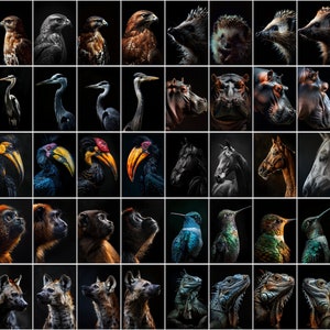 600 Majestic Animal Portraits - High-Resolution Images with Commercial License image 10