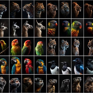 600 Majestic Animal Portraits - High-Resolution Images with Commercial License image 9