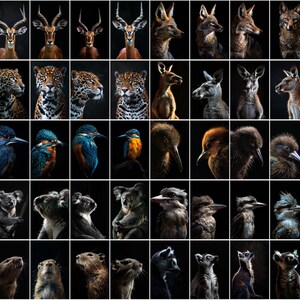 600 Majestic Animal Portraits - High-Resolution Images with Commercial License image 8