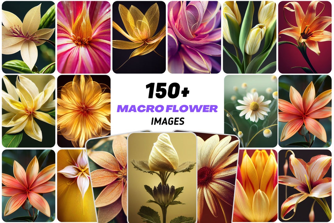 Gallery image with a fresh perspective