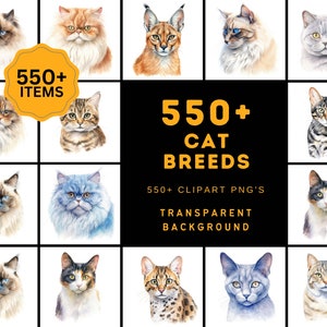 550 Cat Breed PNG Images - Commercial License Included
