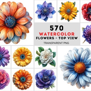 Paquete de imágenes PNG de flores de acuarela - 570 diseños florales de vista superior con fondo transparente y blanco