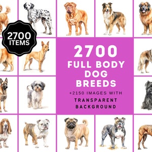 Massive Dog Breed PNG Collection, 2700 images haute résolution du corps complet avec et sans arrière-plan, licence commerciale incluse