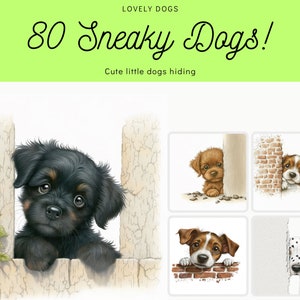 Ensemble hilarant de cache-cache pour chiens – 80 images de haute qualité de chiots espiègles cachés derrière les murs