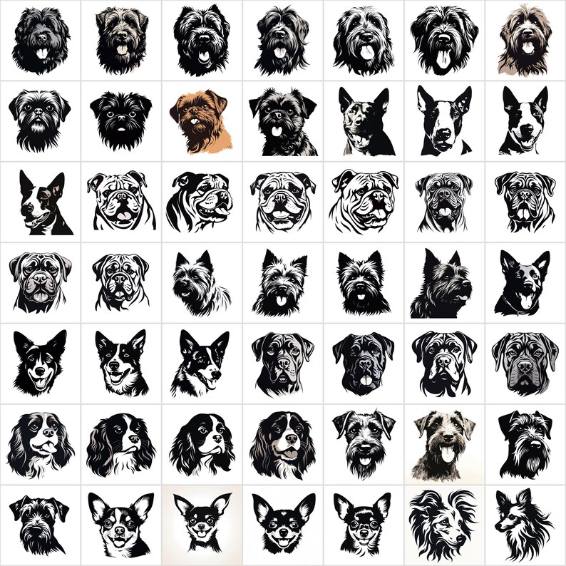 K&ouml;nnte beinhalten: Eine Sammlung von 49 Schwarzwei&szlig;-Illustrationen von Hunderassen. Die Illustrationen sind in einem Raster angeordnet und zeigen verschiedene Hunderassen, darunter Bulldoggen, Terrier und Chihuahuas.