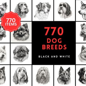 770 Sketch Dog Breed PNGs, Black & White Dog Images, High-Resolution Commercial Use Graphics