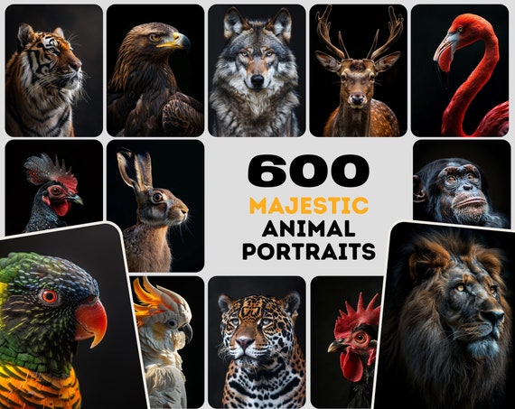 600 Majestic Animal Portraits - High-Resolution Images with Commercial License