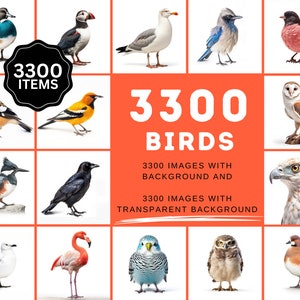 Ultimate Bird Breed PNG Image Bundle - 3300+ Premium Quality Images - High Resolution - Transparent Backgrounds Commercial License Included