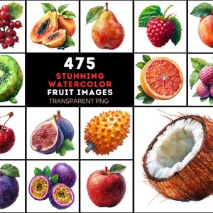 475 immagini di frutta ad acquerello, PNG e JPG di alta qualità, licenza commerciale