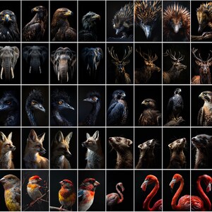 600 Majestic Animal Portraits - High-Resolution Images with Commercial License image 2