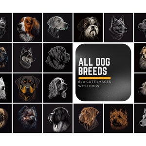 Download 600 Elegant Images with Dogs, Discover the World of Dogs with 600 Breeds Bundle - Perfect Gift for Dog Lovers, Breeders, and Owners