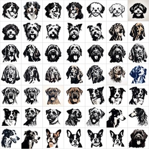 K&ouml;nnte beinhalten: Eine Sammlung von 49 verschiedenen Hunderassen-Illustrationen. Jede Illustration ist eine Schwarzwei&szlig;zeichnung eines Hundekopfes. Die Illustrationen sind in einem Raster angeordnet.