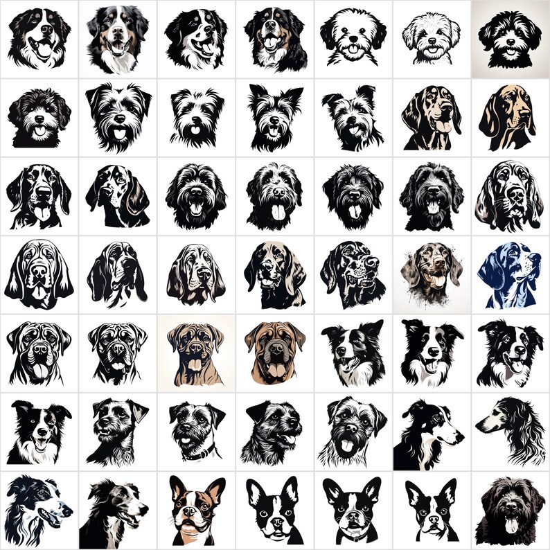 K&ouml;nnte beinhalten: Eine Sammlung von 49 verschiedenen Hunderassen-Illustrationen. Jede Illustration ist eine Schwarzwei&szlig;zeichnung eines Hundekopfes. Die Illustrationen sind in einem Raster angeordnet.