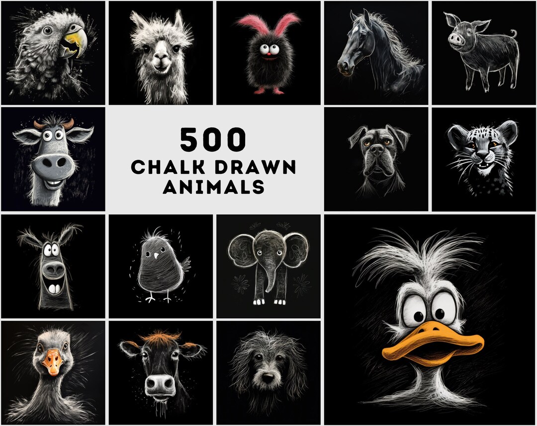 500 Chalk Animal Illustrations Highresolution PNG Etsy