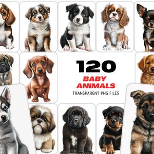 120 chiots sublimation PNG, PNG transparent avec des chiens, superpositions de chiens PNG Photoshop, superposition de chiens, chiot Png, animaux Png, commercial