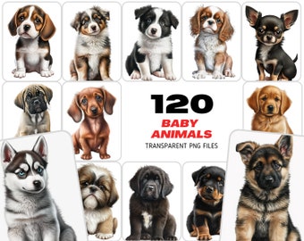 120 PNG Sublimation Puppies, Transparent PNG with dogs, PNG Photoshop Dogs Overlays, Dogs Overlay, Puppy Png, Animals Png, Commercial