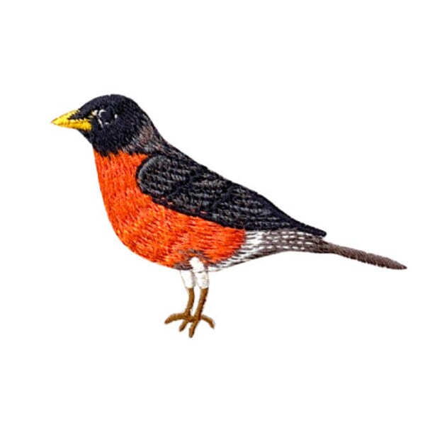 Robin Bird Applique Patch Set – 2-Pack Embroidered American Thrush – Iron-On/Sew-On – Patch Parlor