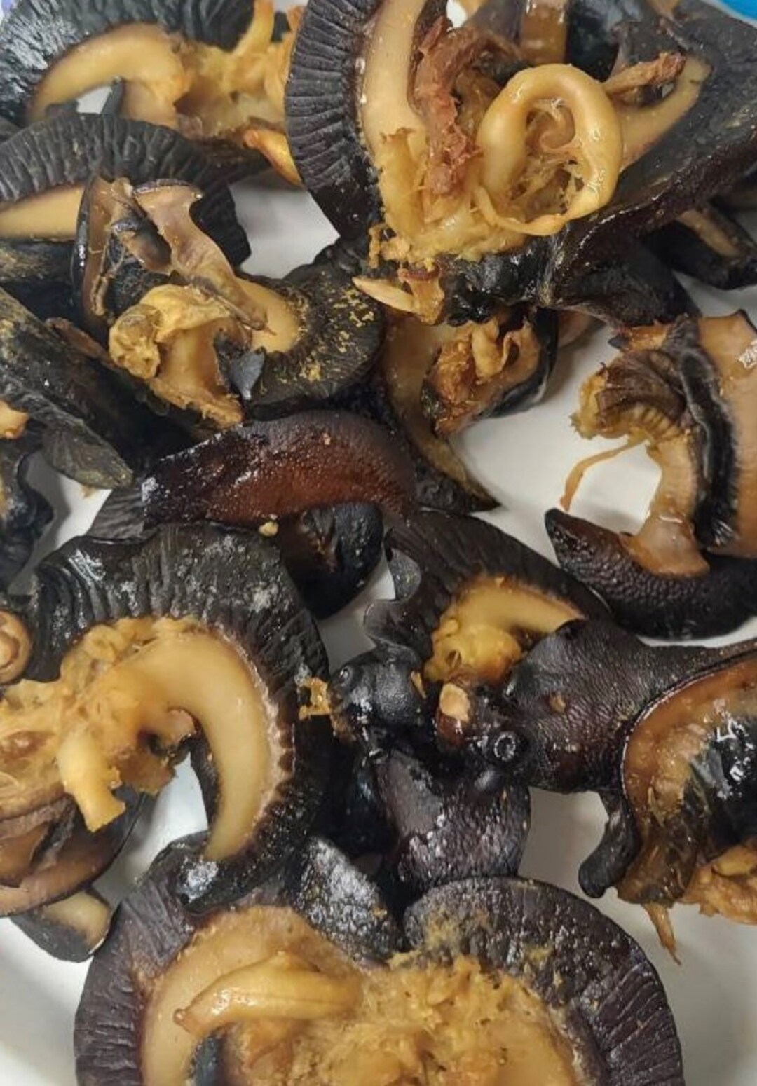 Oven Dried Snail Free Delivery Fresh Snails Etsy