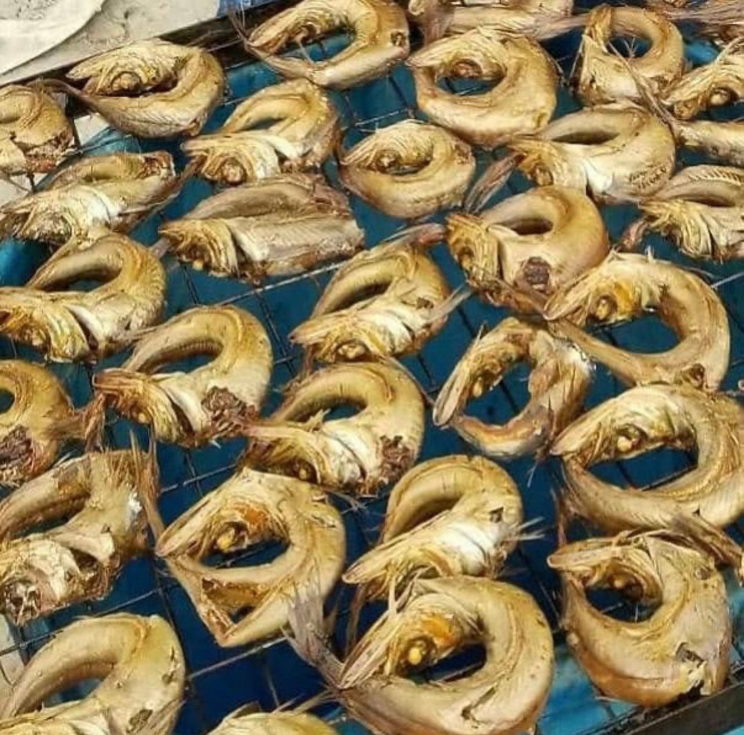 Panla Dry Fish 10 Pieces Etsy