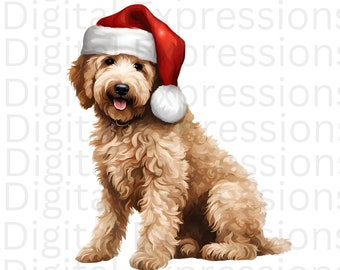 Christmas Goldendoodle PNG: Dog Graphic, Xmas Design (Digital Download)