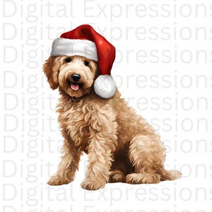 Natal Goldendoodle PNG Goldendoodle Design Gráfico Cachorro Animal Clipart Xmas Doodle Sublimação DTF Goldendoodle Design de camiseta