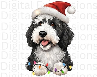 Christmas Sheepadoodle PNG: Dog with Santa Hat (Digital Download)