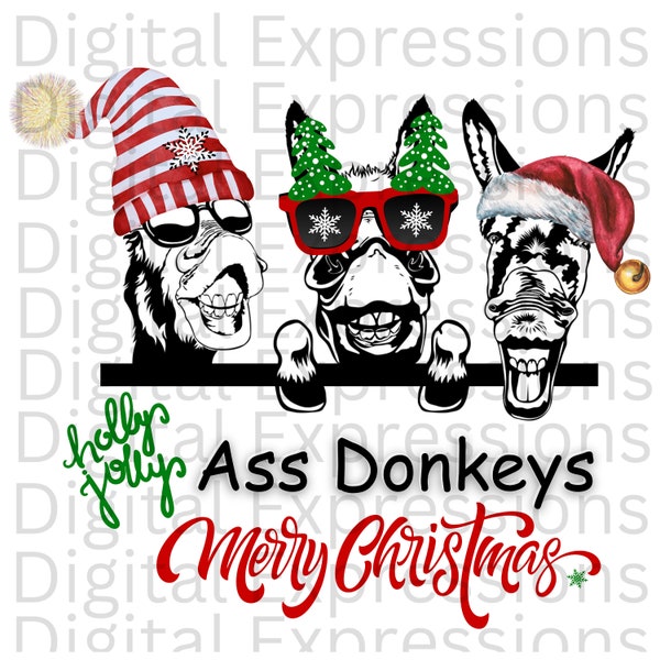 Donkey PNG Christmas PNG Instant Download Printable Png Jackass shirt Design png t-shirt graphic tee Donkey Clipart Christmas tee design