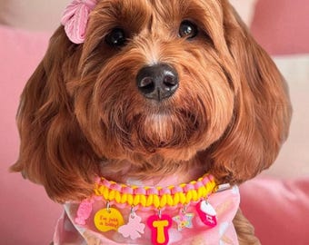 Charm Collar for Dogs – Custom Paracord with Choice of Colors & Charms