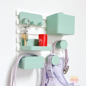 Könnte beinhalten: Ein mintgrüner Haustier-Organizer mit weißer Lattenrückwand. Er verfügt über einen Schlüsselhalter, ein Regal und eine kleine Box. Ein roter Behälter mit Erdbeergrafik und ein lavendelfarbener Haustiergurt sind ebenfalls sichtbar. Der Text "SILLY GOOSE PETS" befindet sich unten rechts.