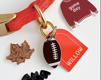 Fall Pet Collar Charm Set – Football, Leaf, Sweater & Bat | Handmade Seasonal Dog and Cat Collar Charms