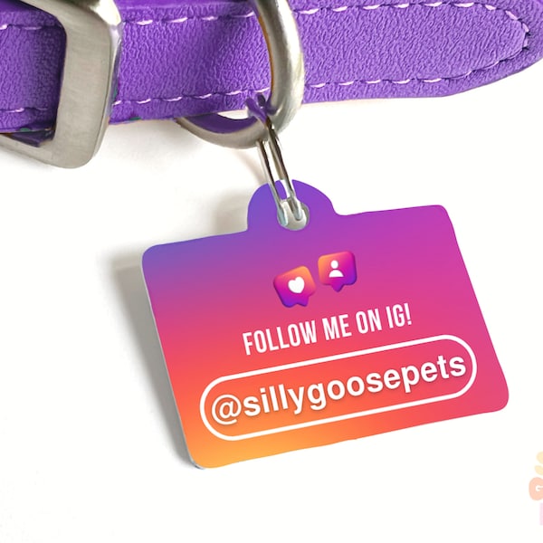 Funny Dog Tags for Dogs Etsy