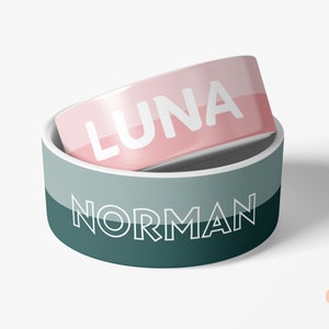 May include: Two-piece pet bowl set. The top bowl is pink with the name "LUNA" in white. The bottom bowl is teal and gray with the name "NORMAN" in white. The bowls are designed with a modern aesthetic.